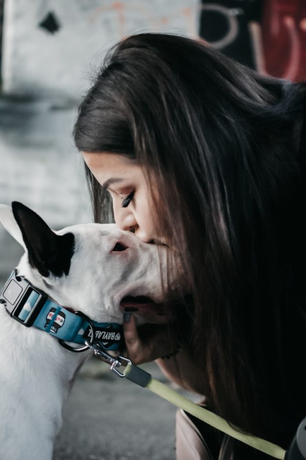 przykładowe realizacje 5